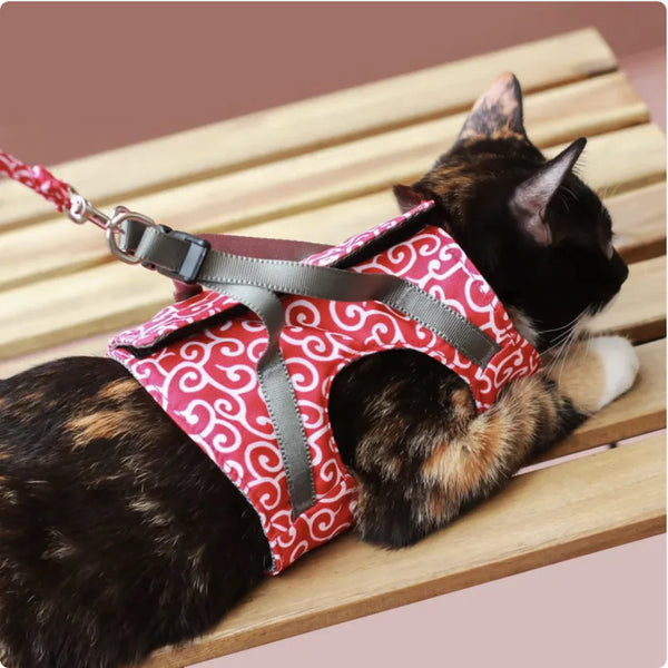 Cat Tow Leash with Comfortable Grip